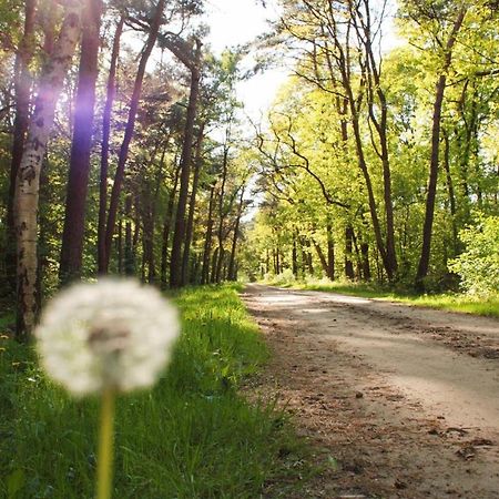 Natuurhuisje Even Niets Zelhem Kültér fotó