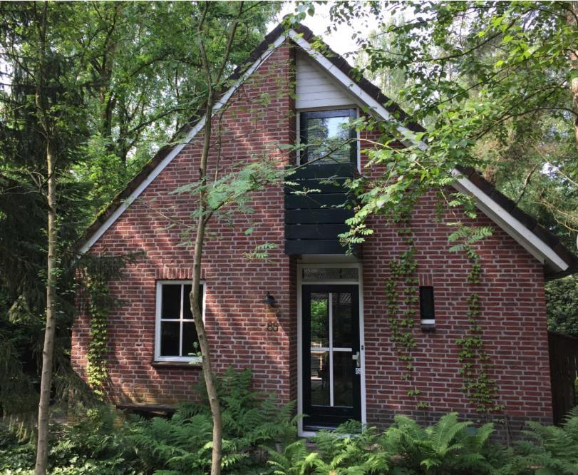Natuurhuisje Even Niets Zelhem Kültér fotó