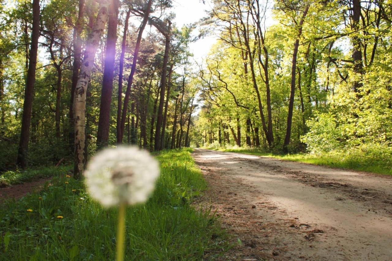 Natuurhuisje Even Niets Zelhem Kültér fotó